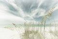 Affiche Heavenly calmness on the beach – affiche et impression d’art