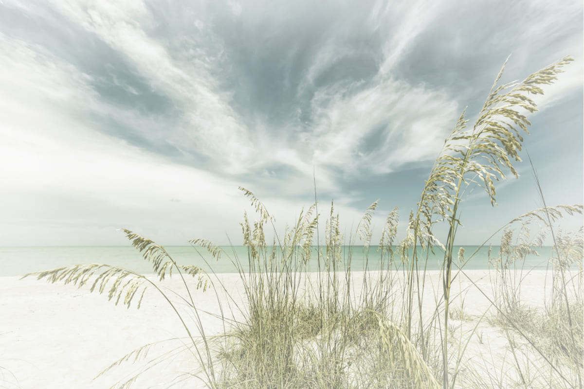 Affiche Heavenly calmness on the beach – affiche et impression d’art