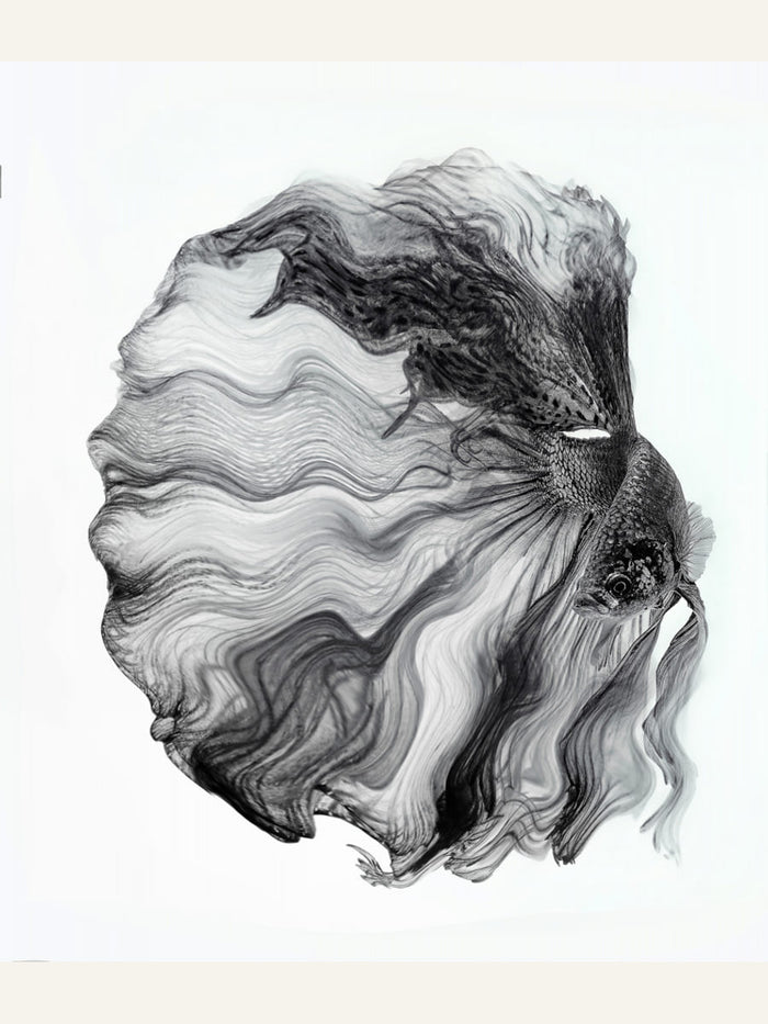 Plakat INK BETTA – plakat i druk artystyczny