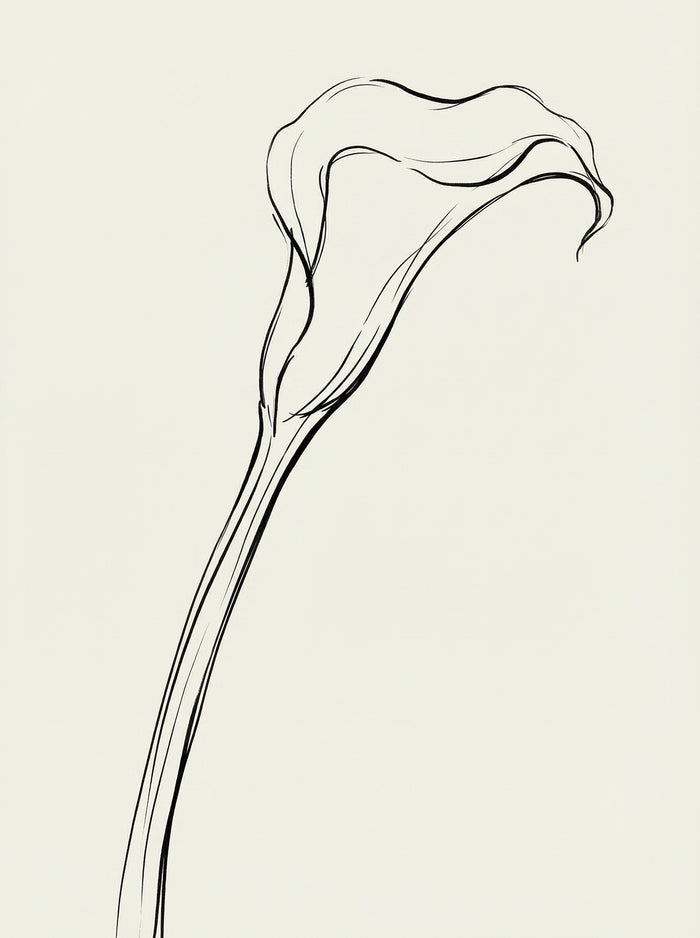 Poster in black frame
