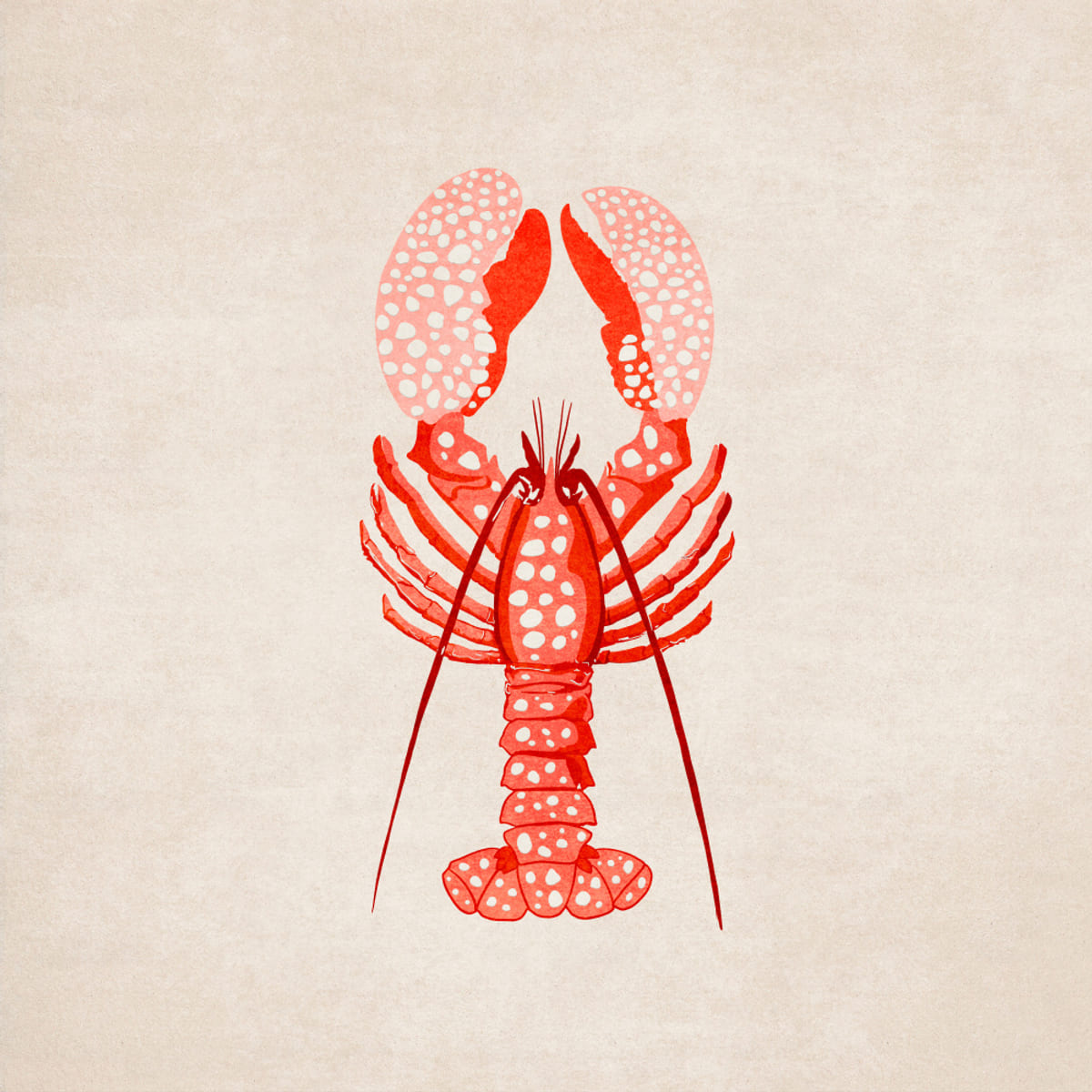 Poster Istakoz – poster e stampa artistica