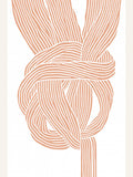 Knots No 2 Poster – poster and art print