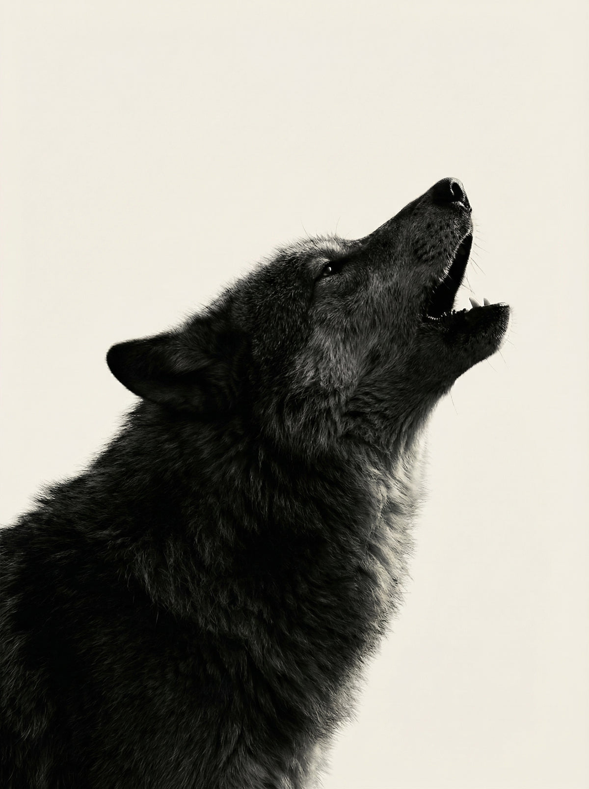 Poster print