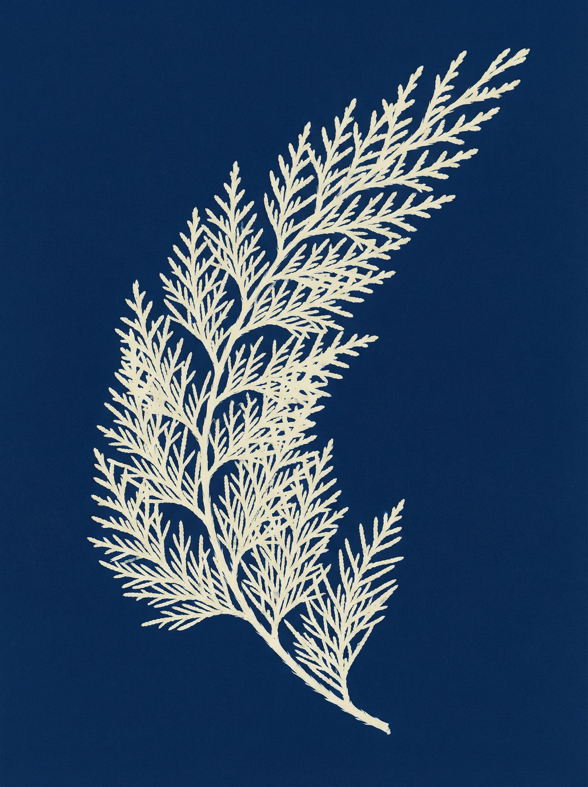 Poster print