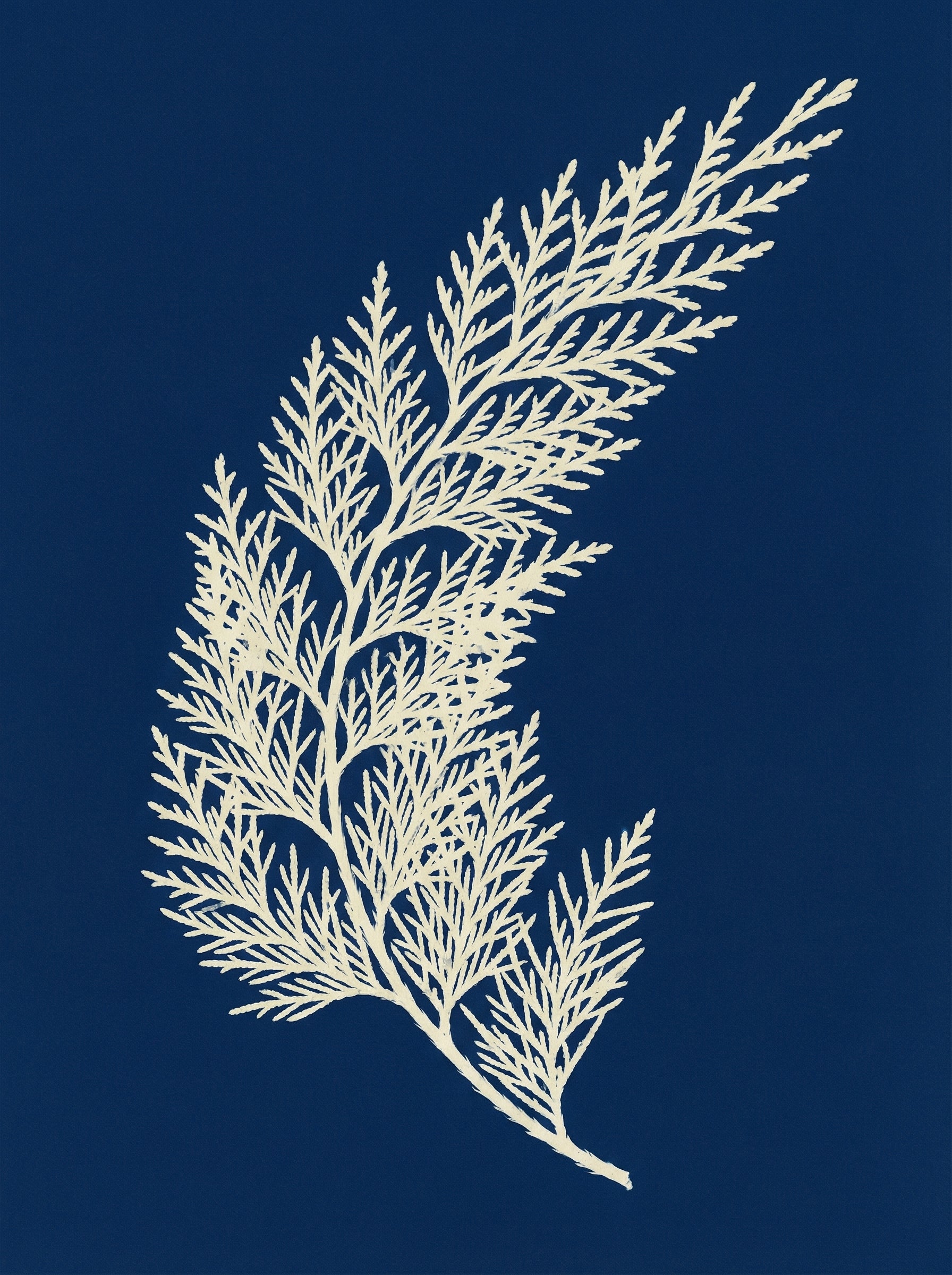 Poster print