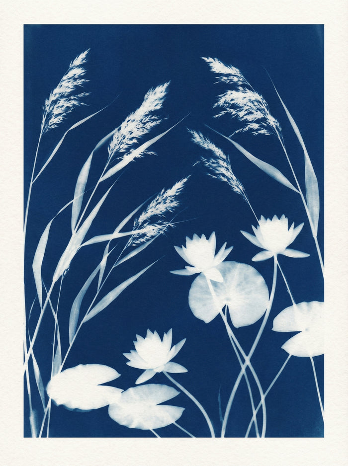 Poster print