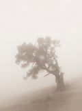 Poster print file