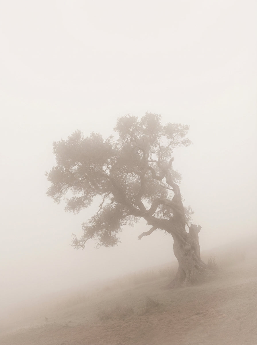 Poster print file