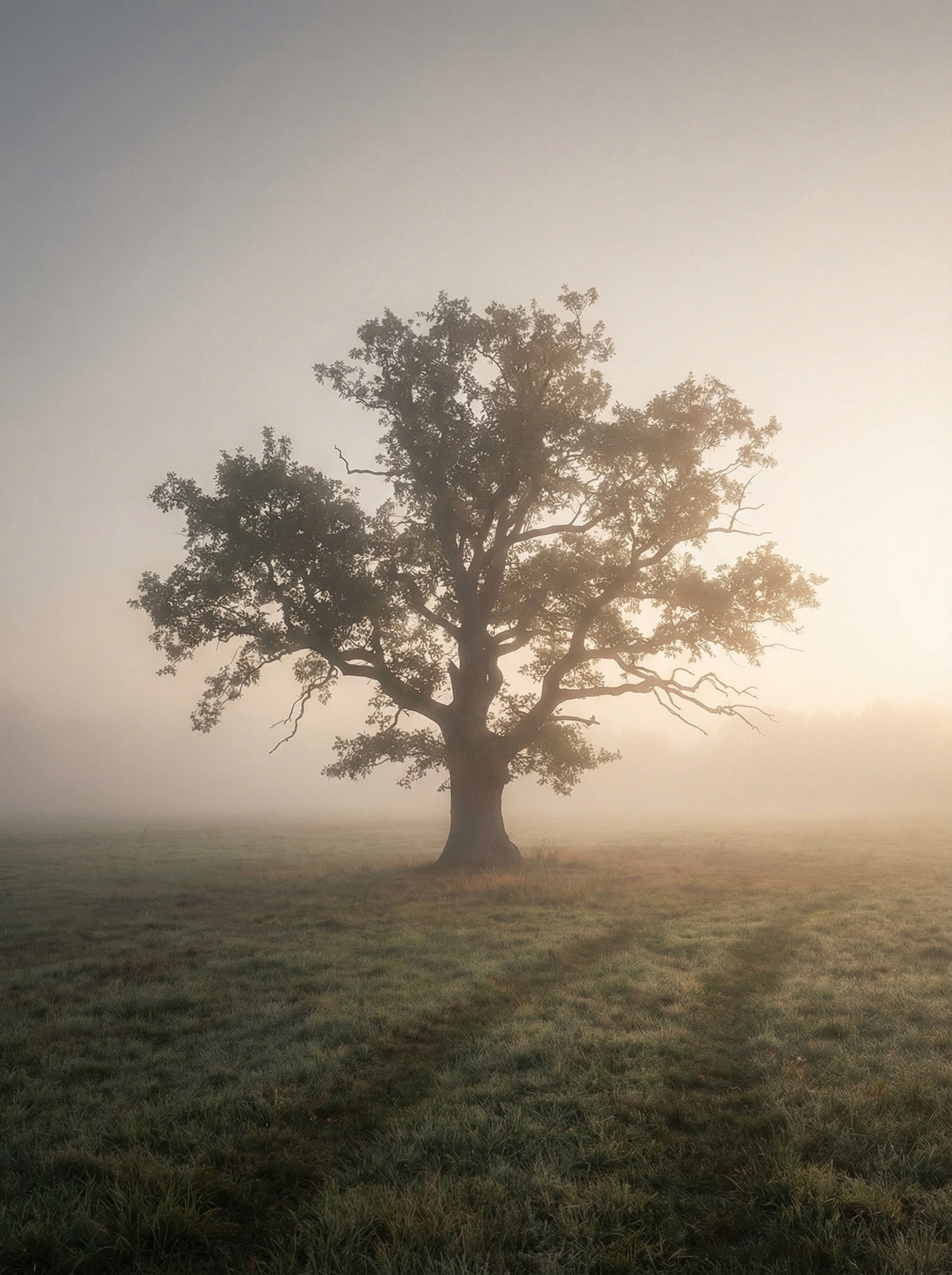 Poster in black frame