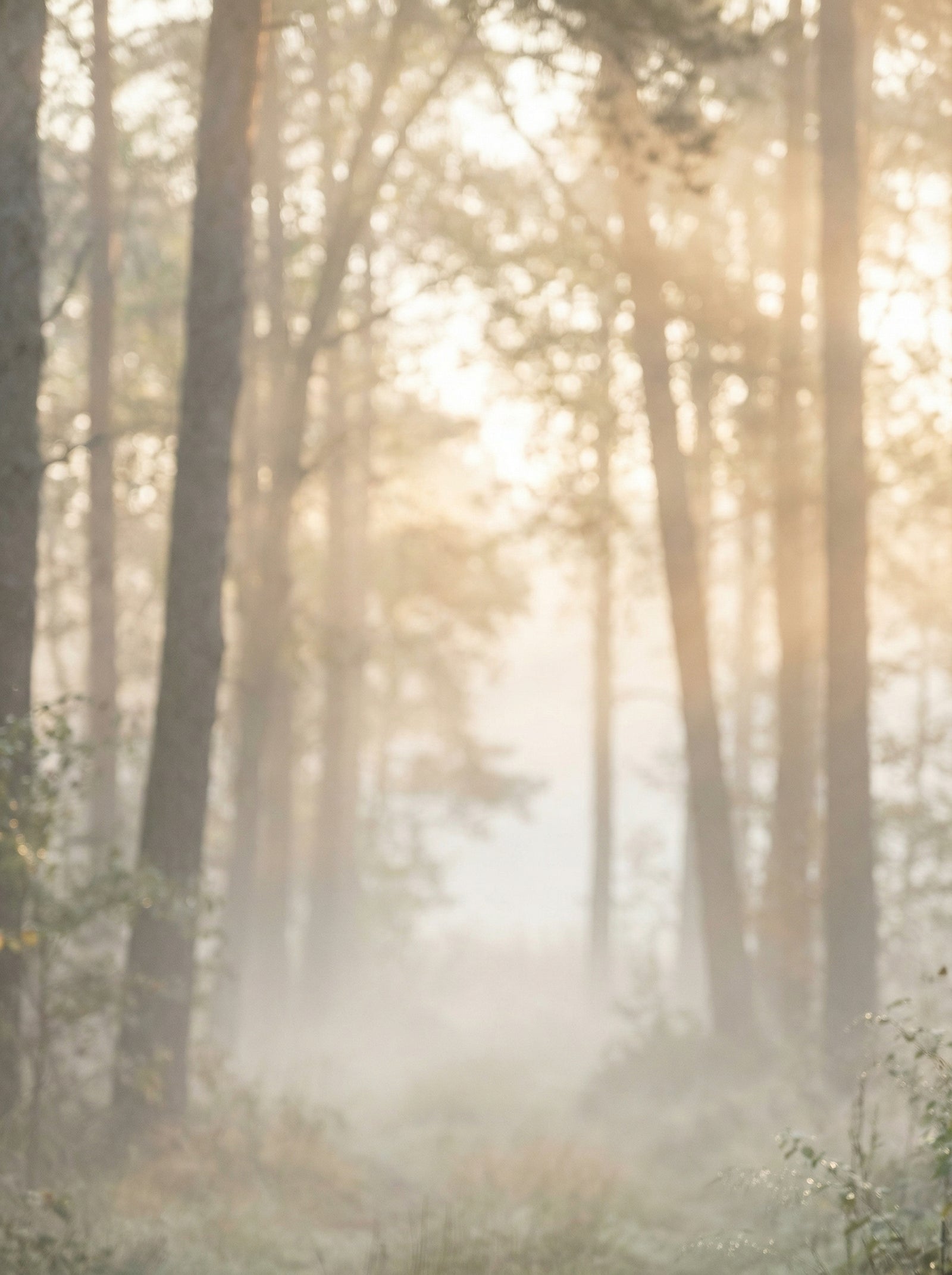 Poster in black frame