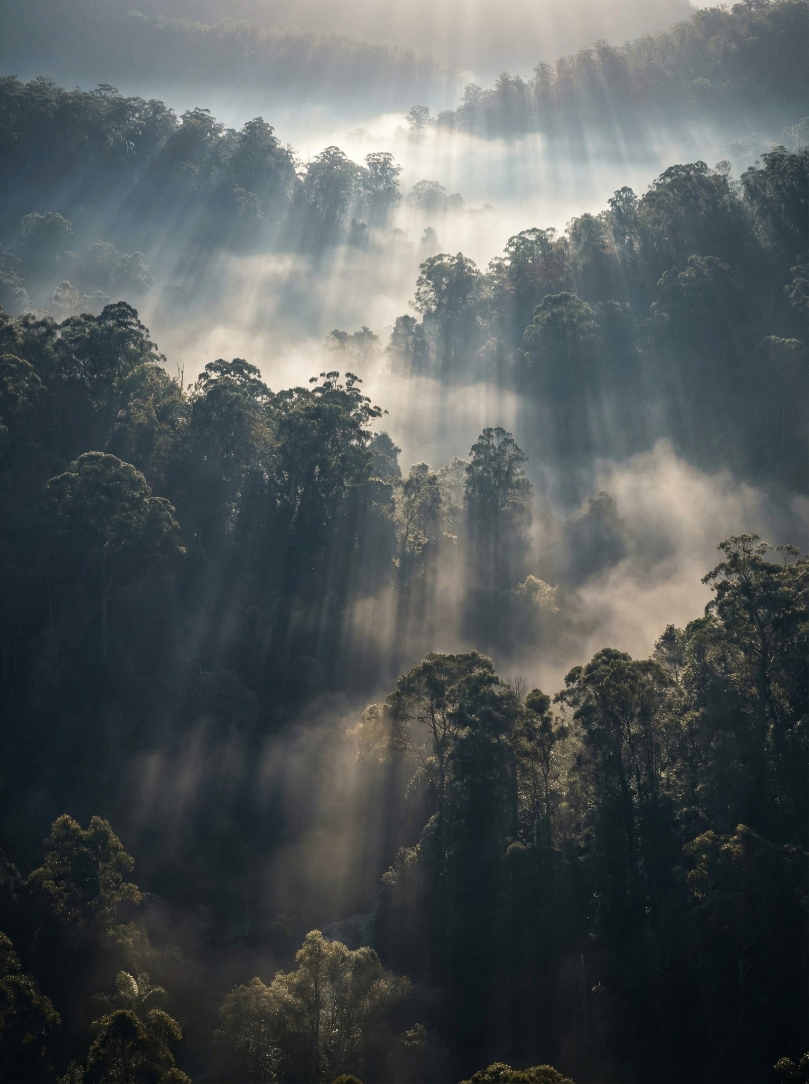 Poster in black frame