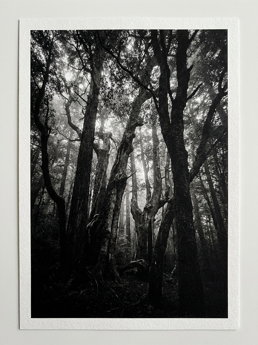 Poster print file