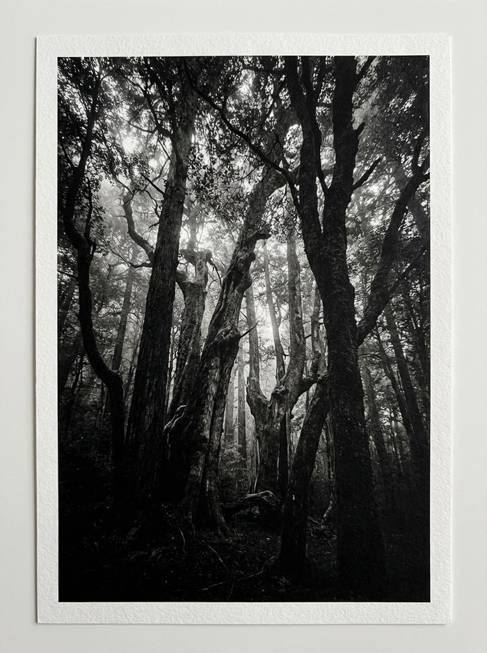 Poster print file