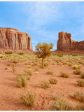 Monument Valley X -juliste – juliste ja taidepainatus