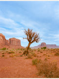 Affiche Monument Valley XI – affiche et impression d’art