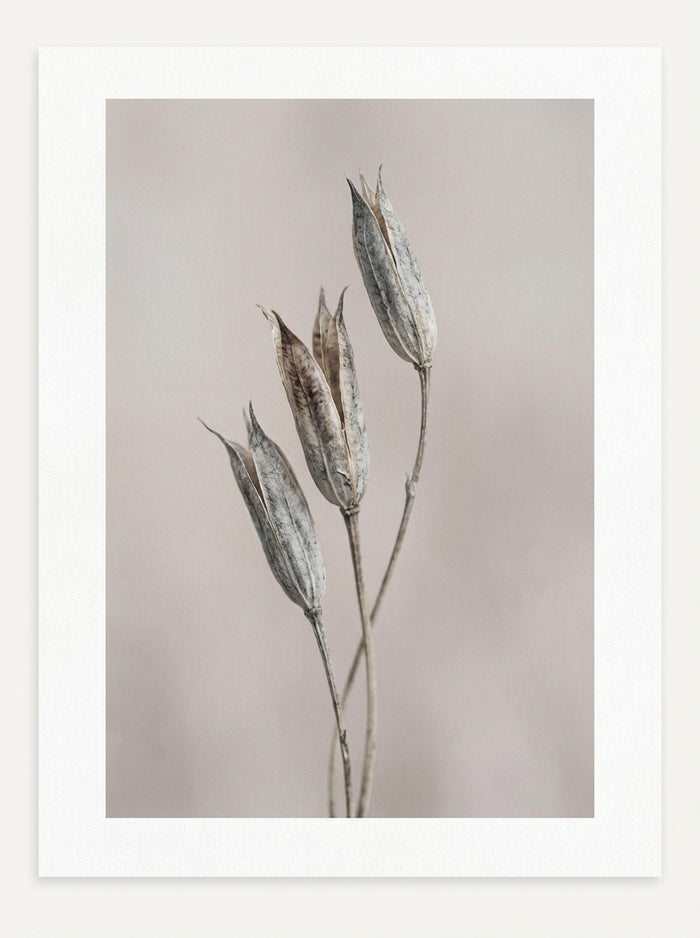 Poster print file