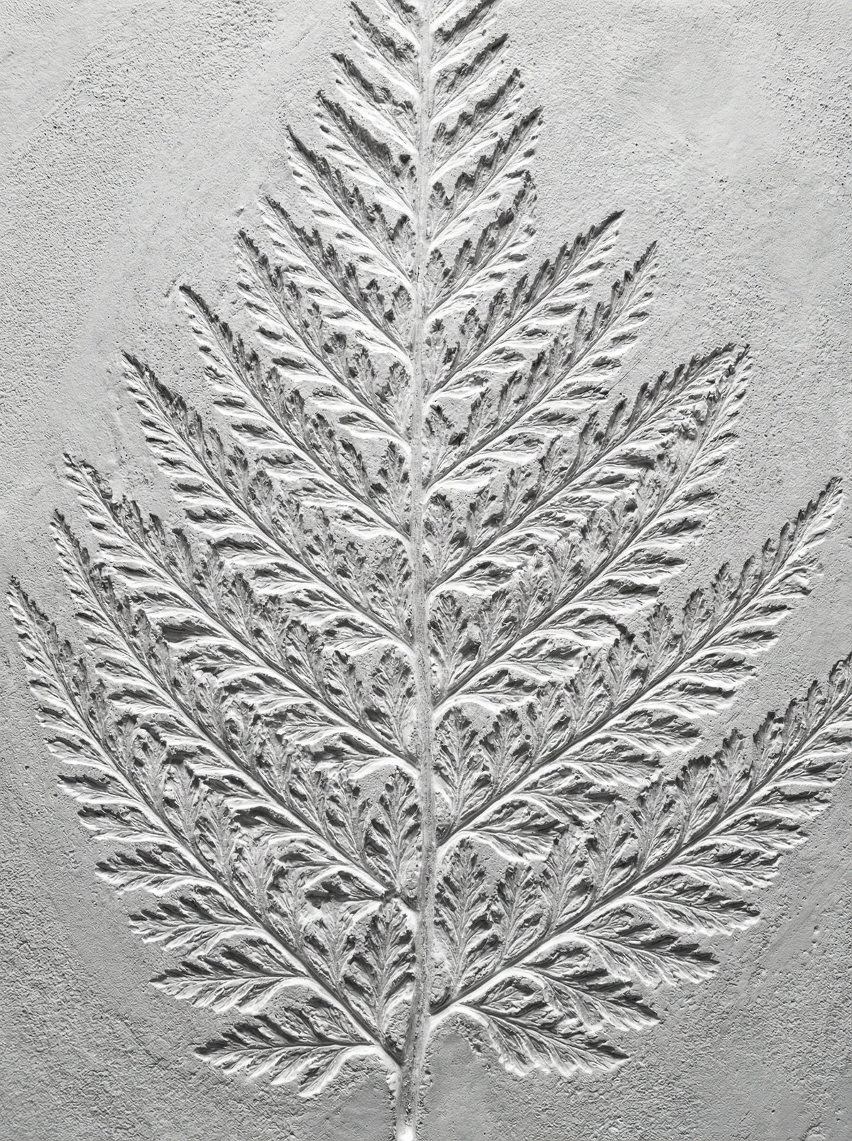 Poster in black frame