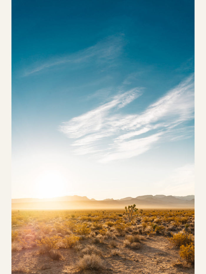 Poster print