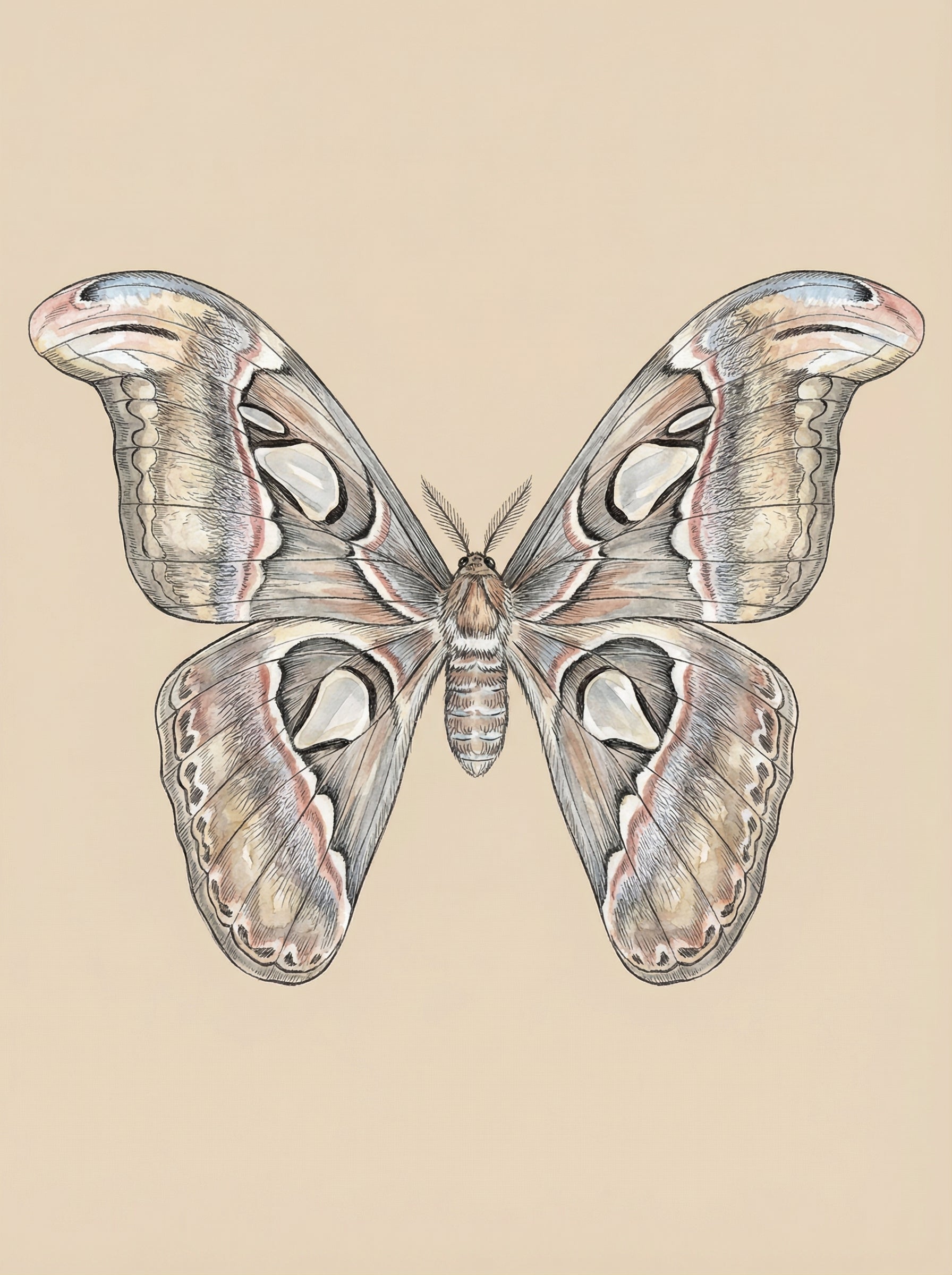 Poster print