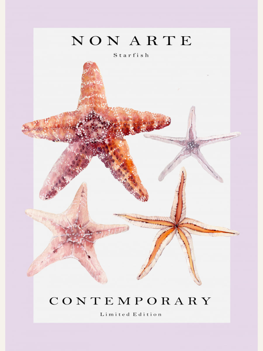 Plakat Non Arte Starfish – plakat i druk artystyczny