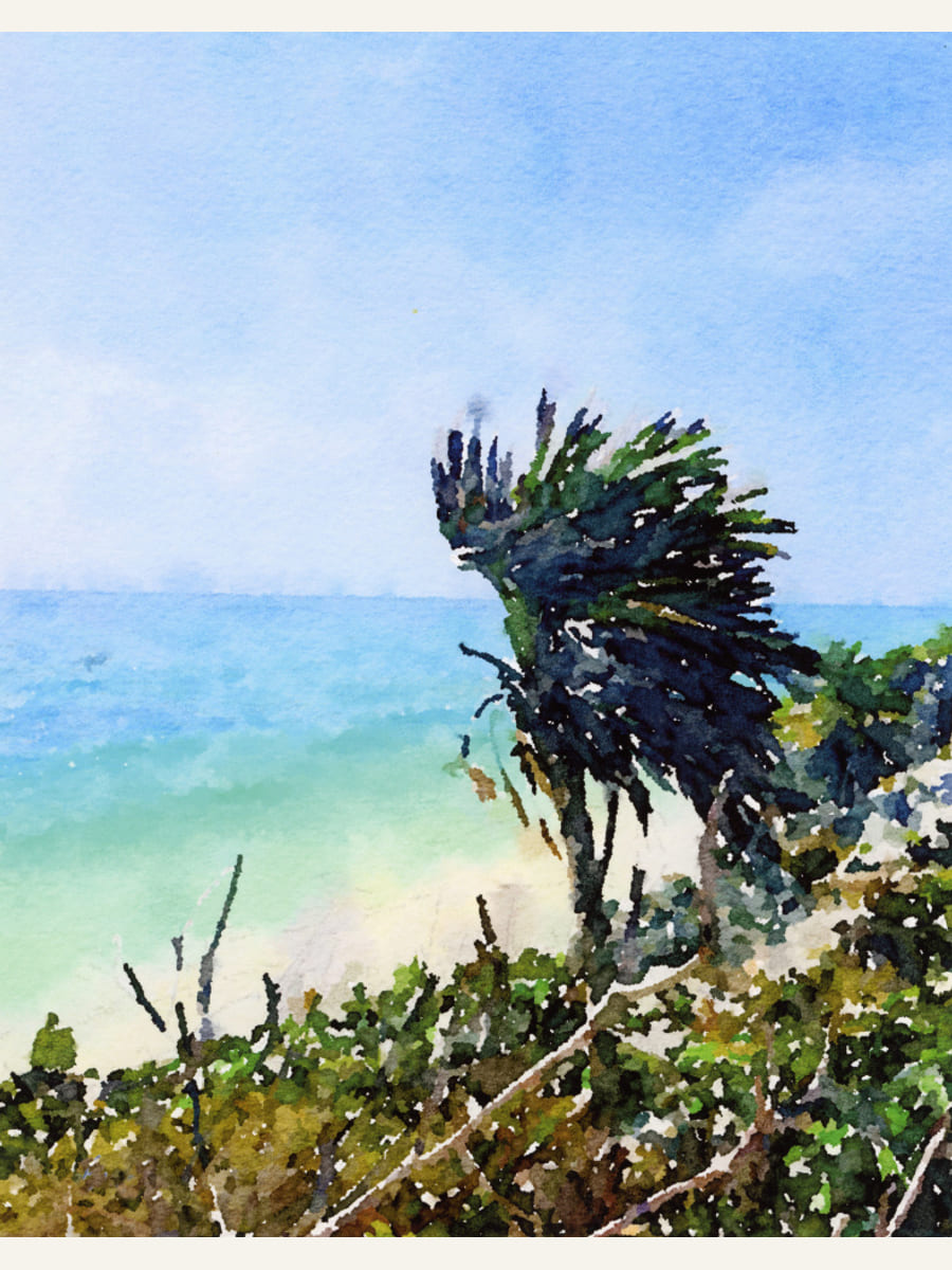 Ocean Palm Tree Poster – poster och konsttryck