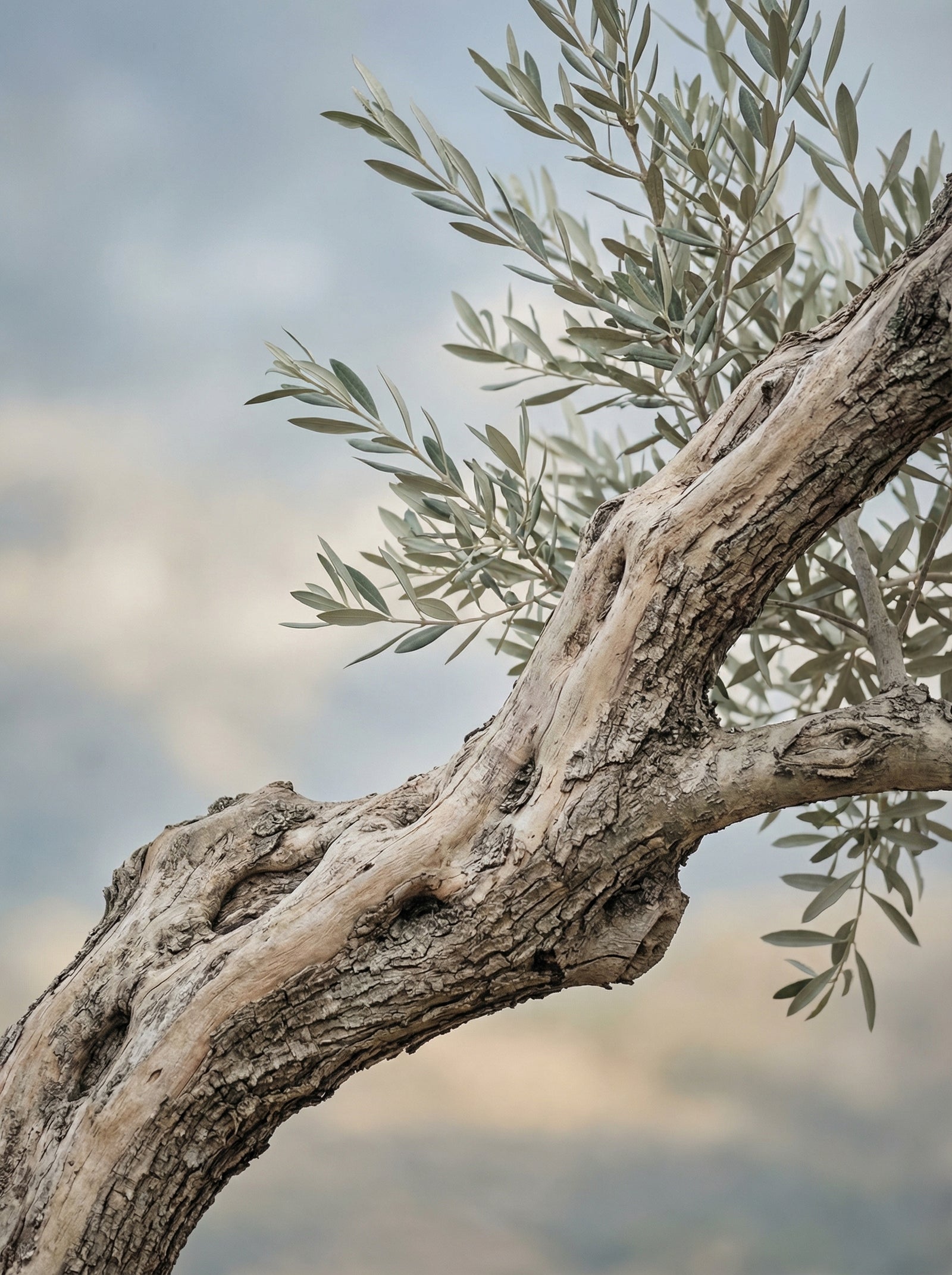 Poster in black frame