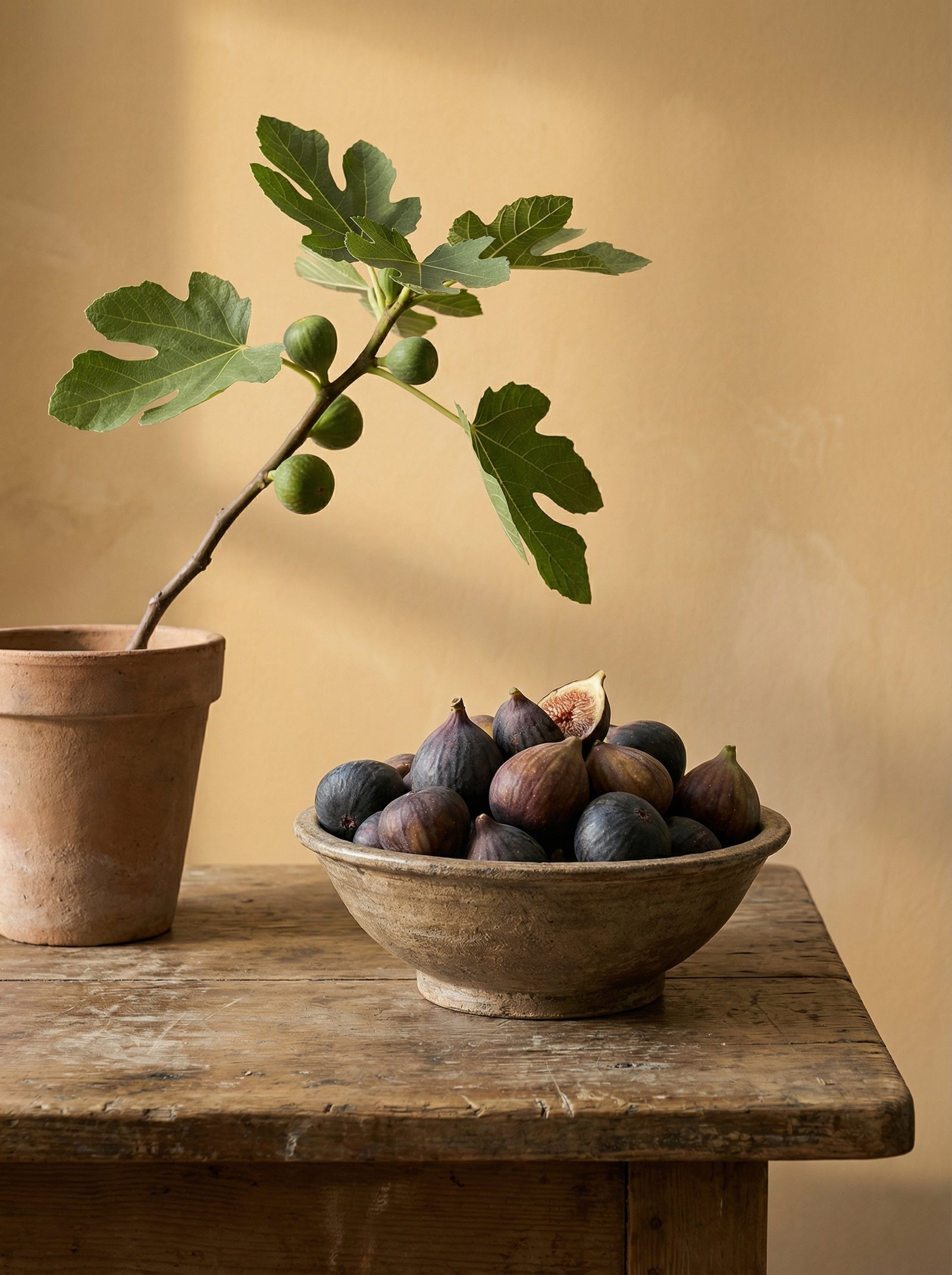 Poster in black frame