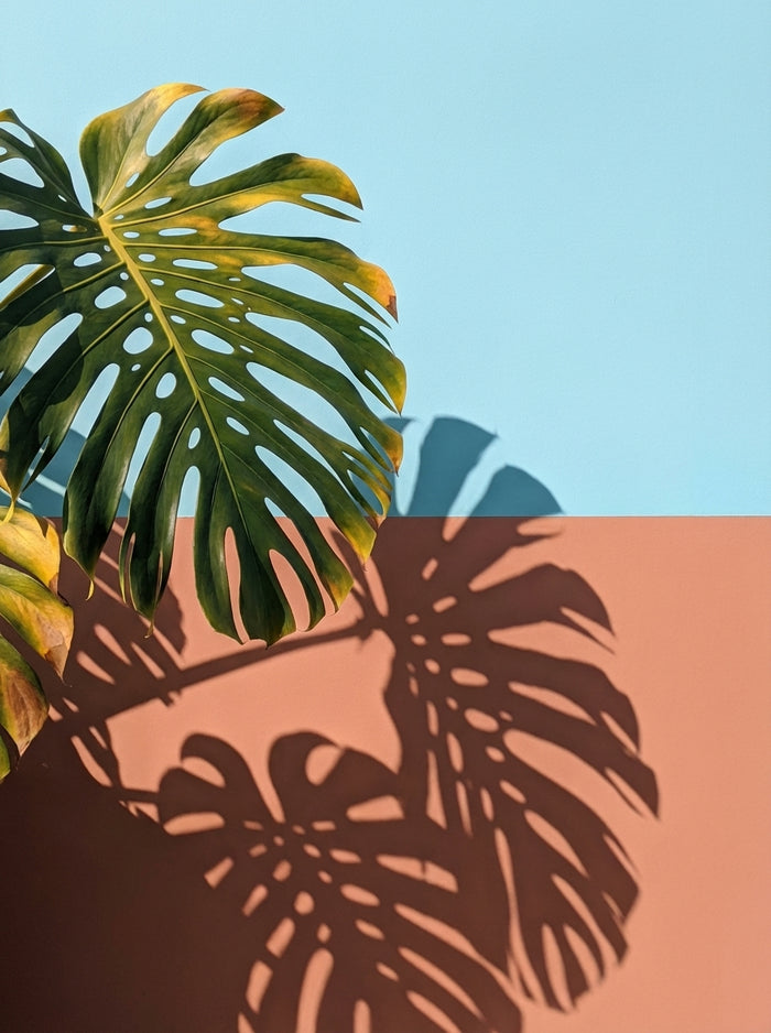 Poster print file
