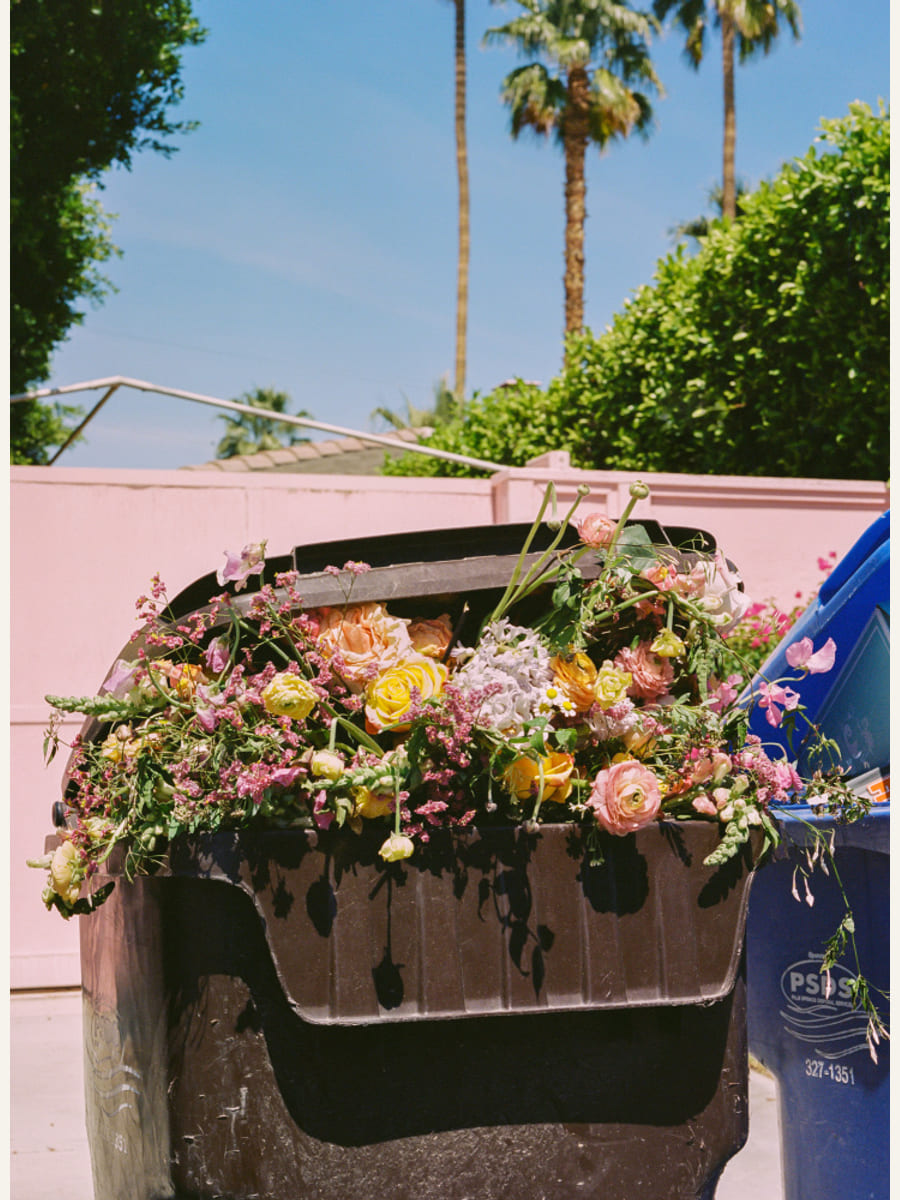 Palm Springs Curb Poster – plakat og kunsttryk