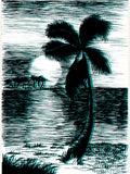 Palm5 Poster – poster and art print