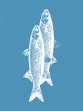 Poster Pescados – poster e stampa artistica