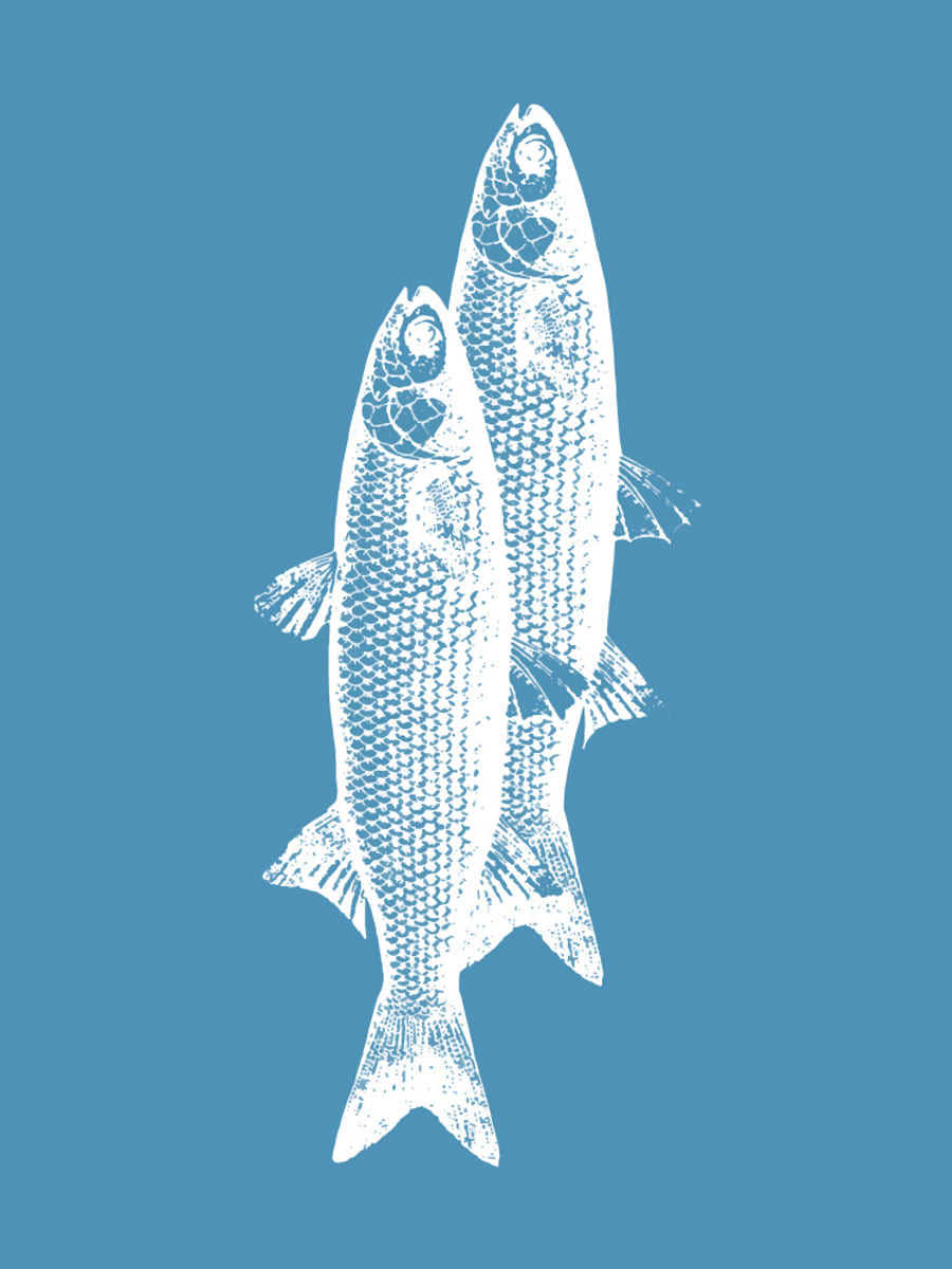 Poster Pescados – poster e stampa artistica