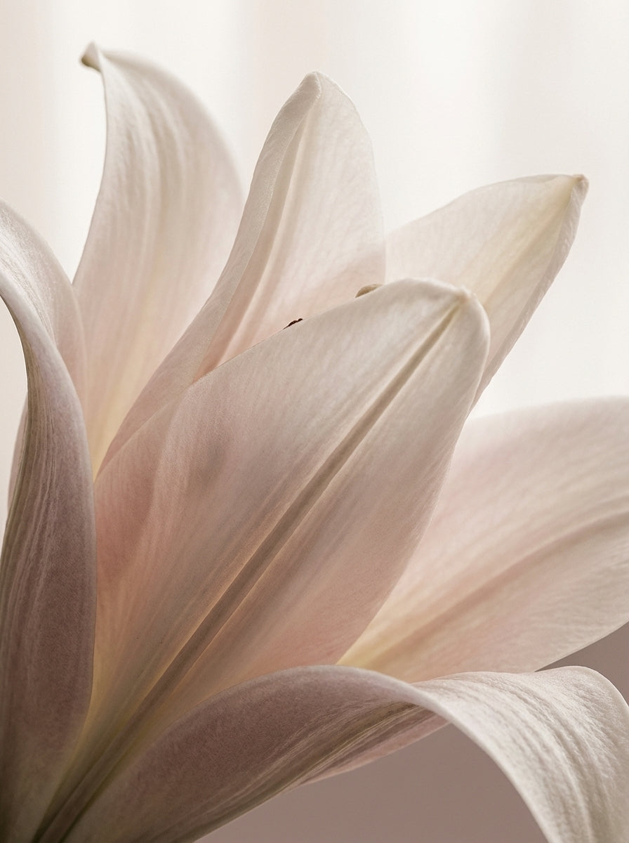 Poster print file