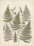 Poster print file
