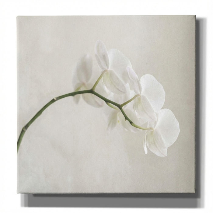 Poster print file