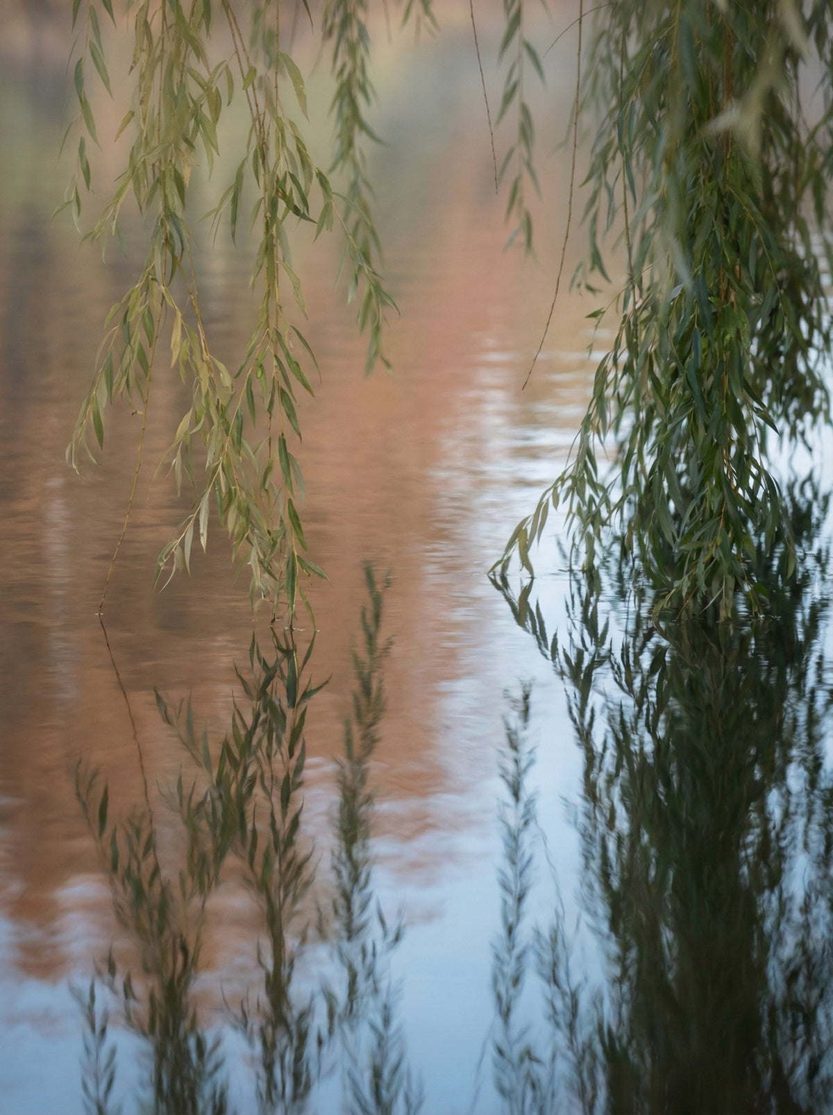Poster in black frame