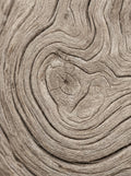 Poster print file
