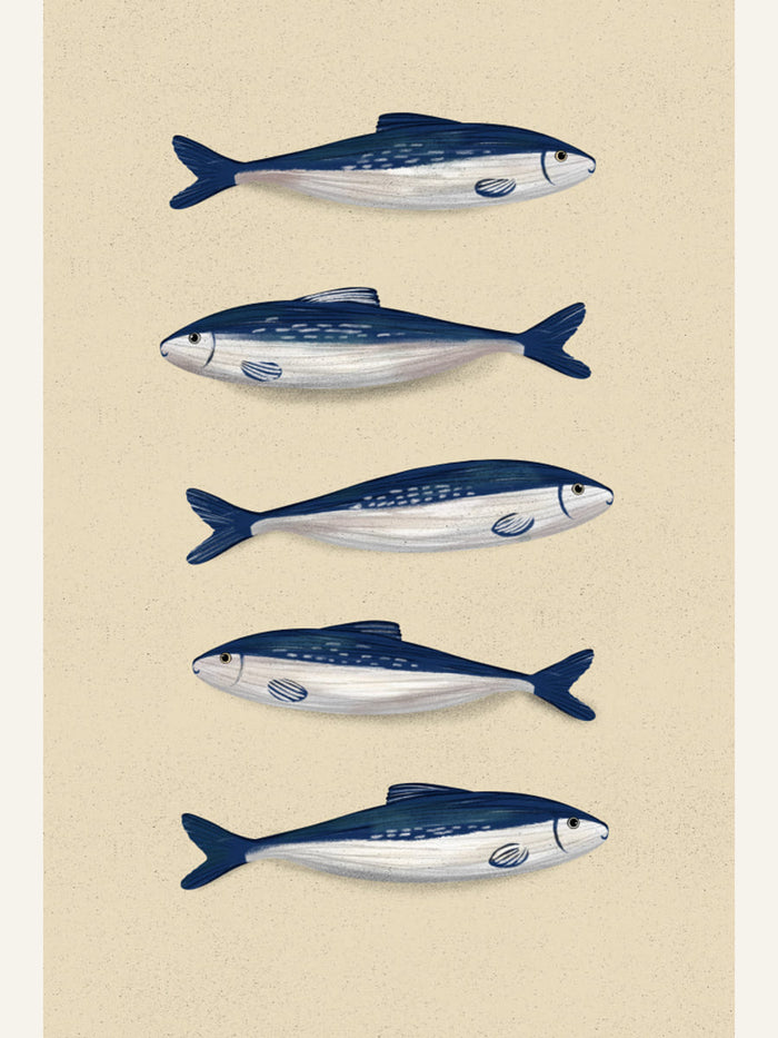 Poster Sardines – poster e stampa artistica