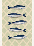 Sardines Poster – poster and art print