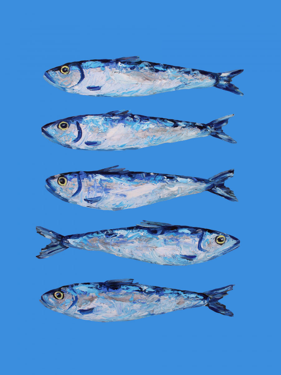 Poster Sardines on Blue – poster e stampa artistica