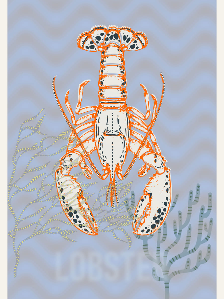 Póster Sea life lobster Neptune's joy – póster e impresión artística