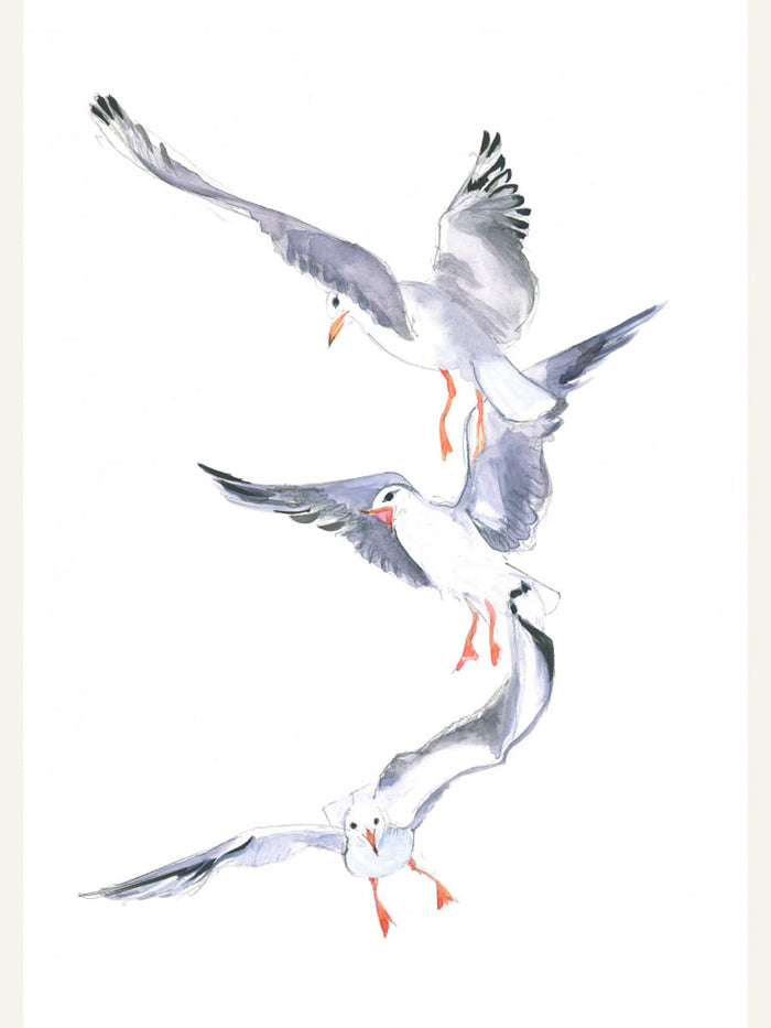 Poster Seagull Flight – poster e stampa artistica