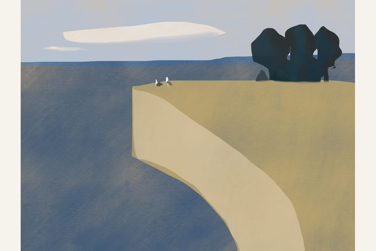 Seagull Lover Poster – poster and art print