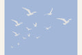 Seagulls Blue Background Poster – plakat og kunsttryk