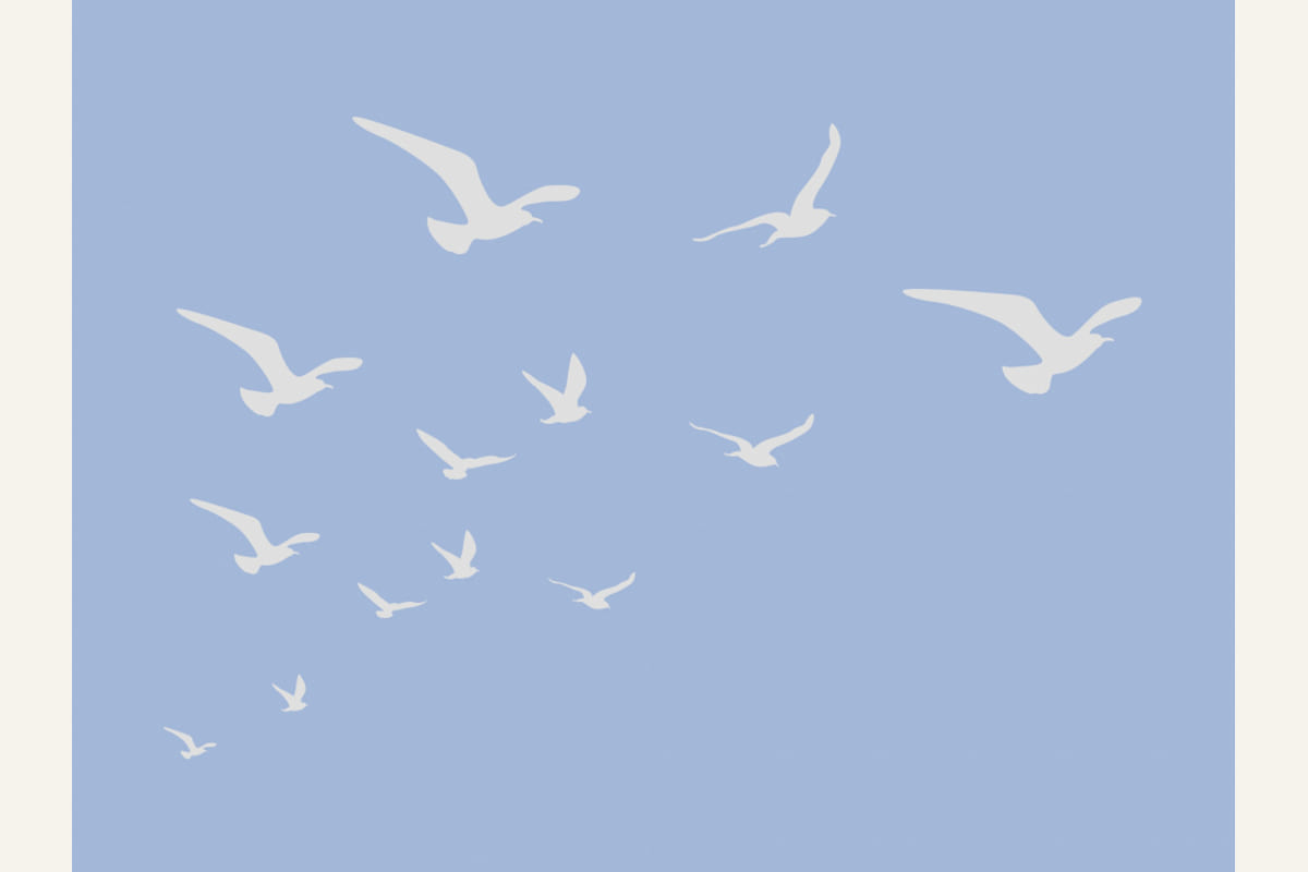 Seagulls Blue Background Poster – plakat og kunsttryk
