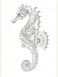 Seahorse 3 Poster – plakat og kunsttryk