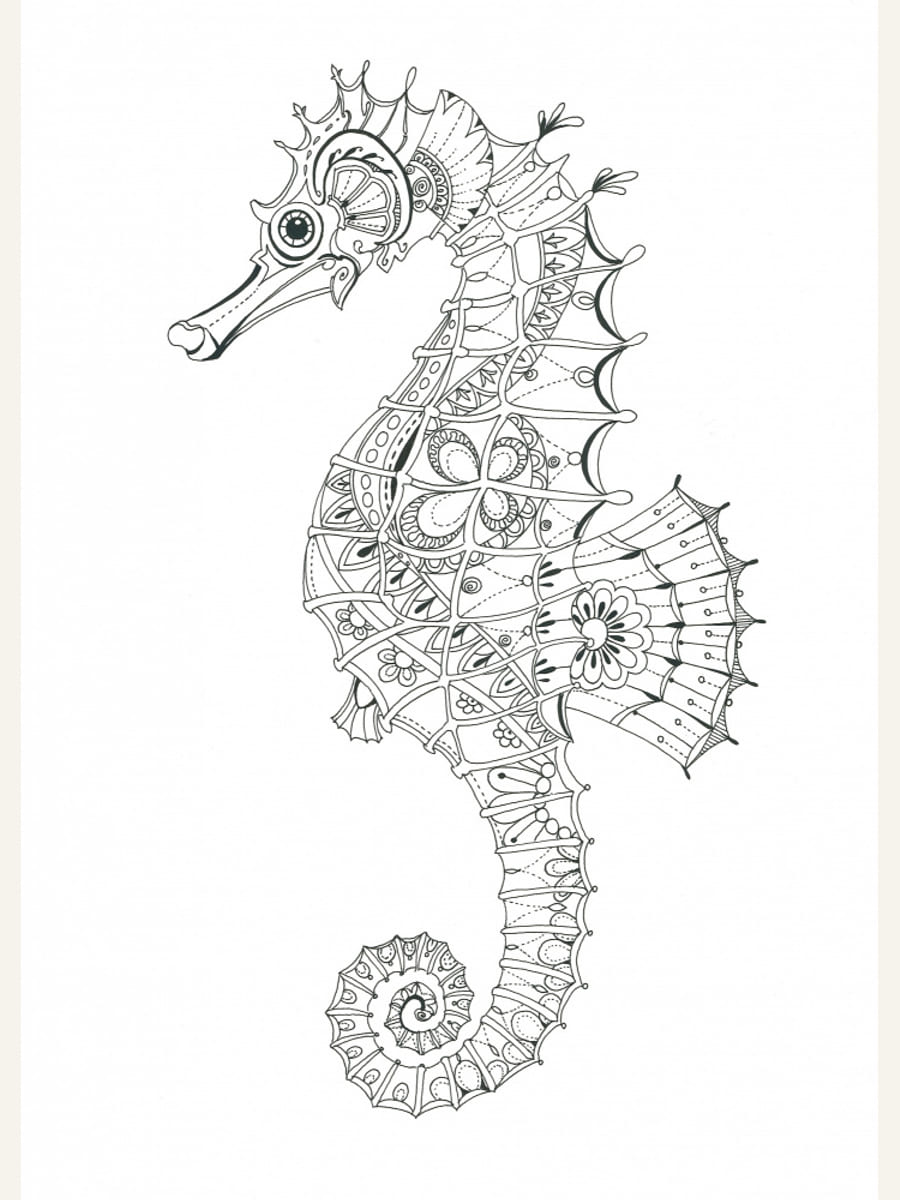 Seahorse 3 Poster – plakat og kunsttryk