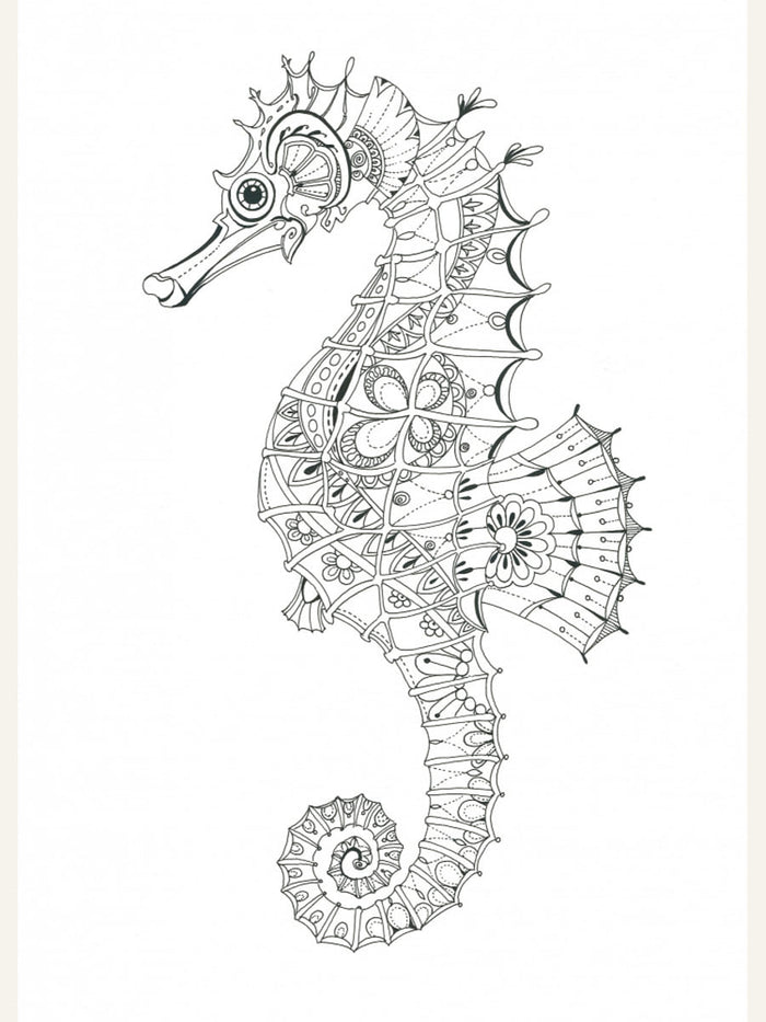 Seahorse 3 Poster – plakat og kunsttryk