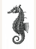 Affiche Seahorse – affiche et impression d’art