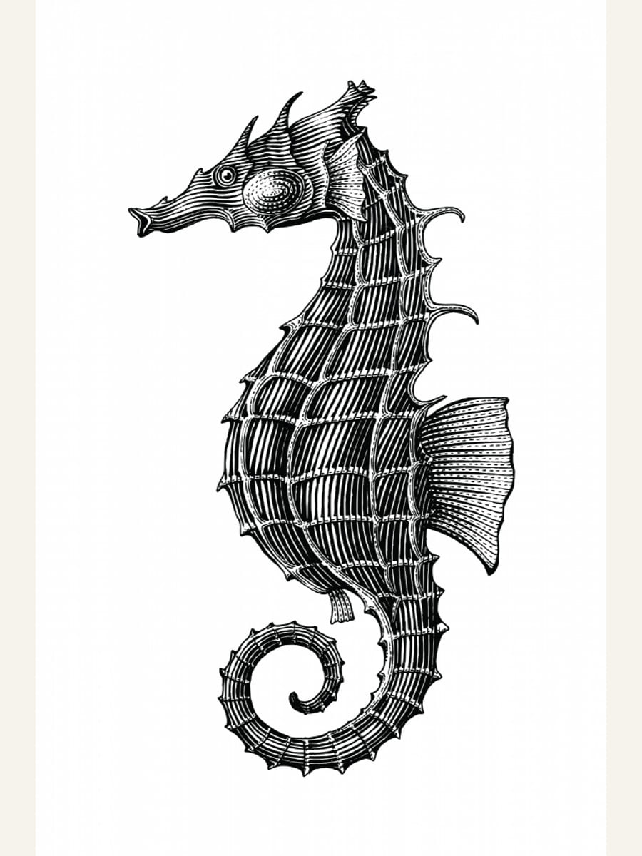 Affiche Seahorse – affiche et impression d’art